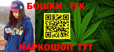 индика Комсомольск-на-Амуре