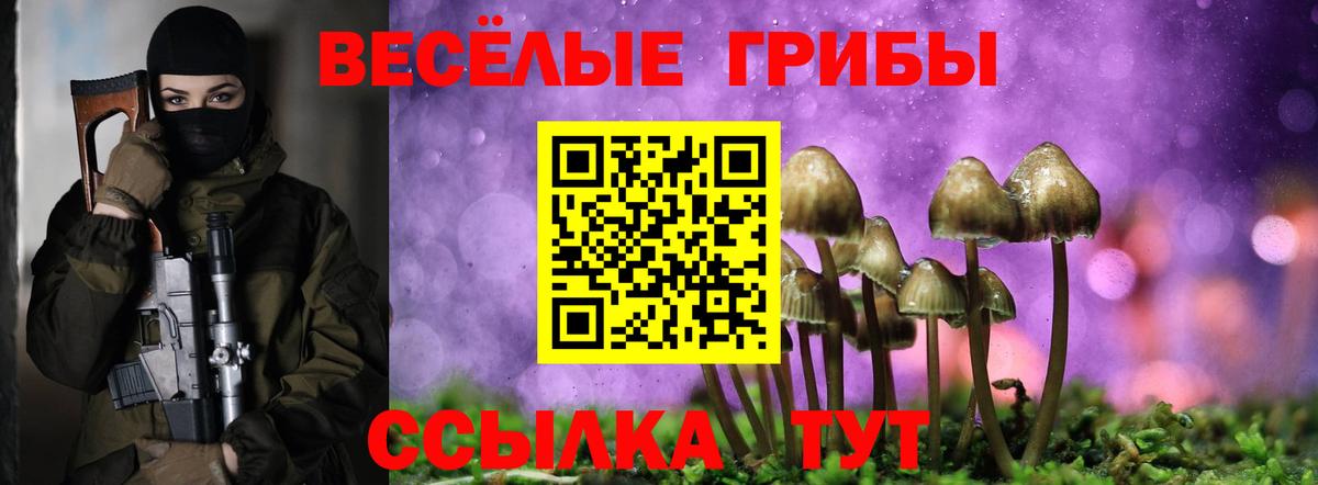 Галлюциногенные грибы ЛСД Канаш